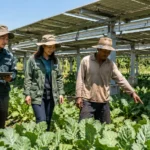Agrivoltaics Capital Deployment: Dual-Use Solar Infrastructure and Farmland Revenue Optimization
