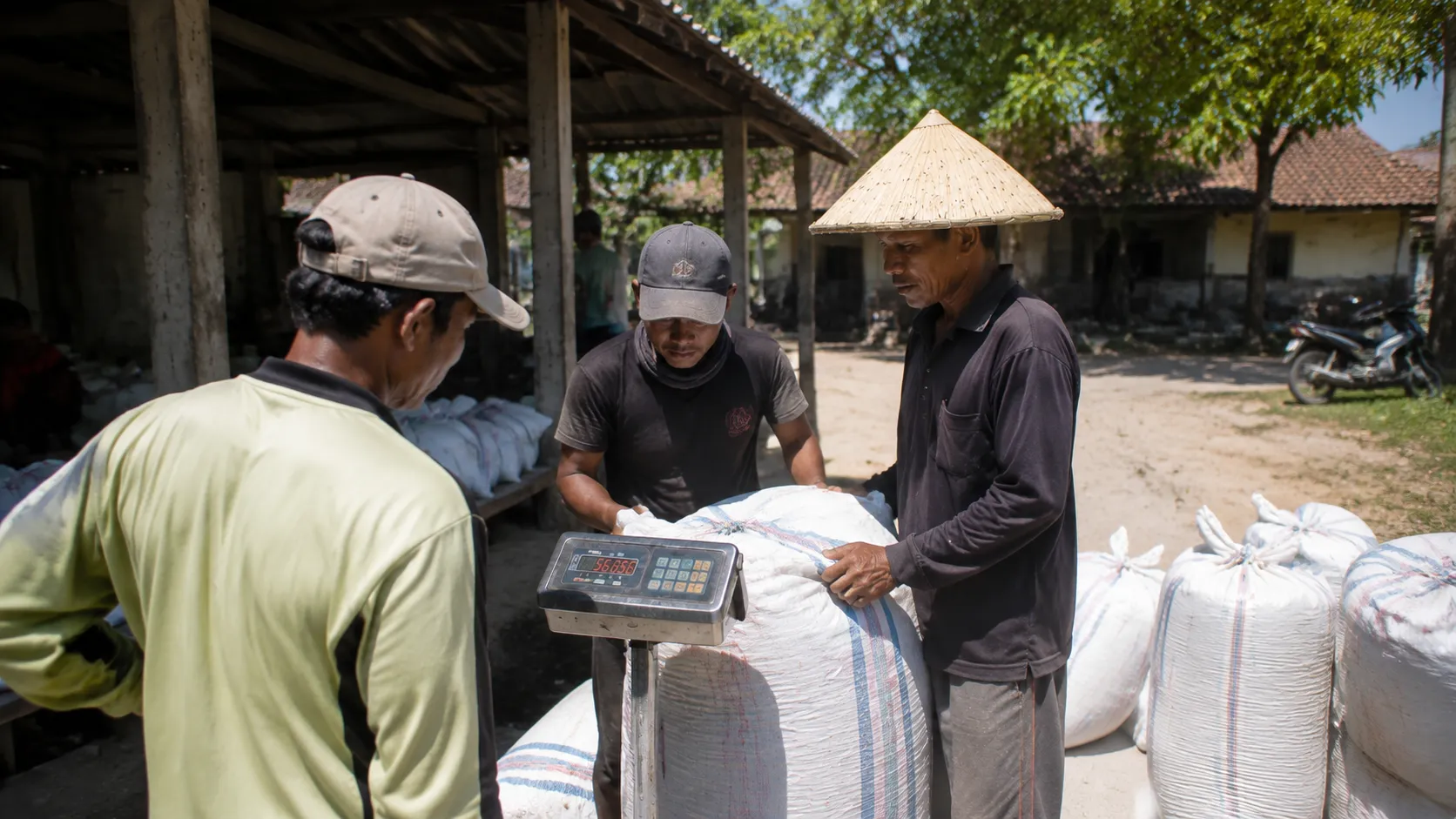 An Indonesian farmer weighing grain on a modest digital scale at a rural village aggregation center